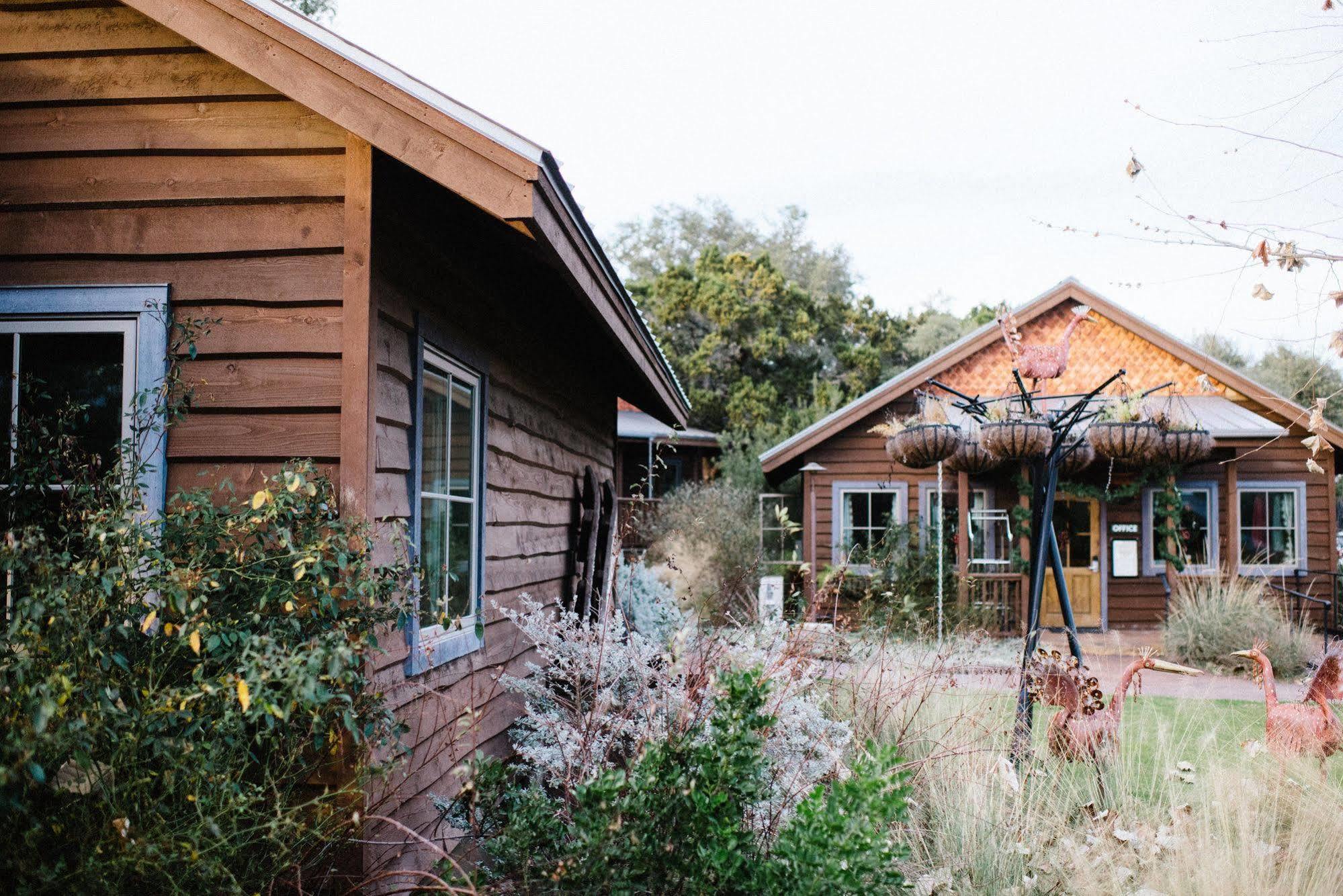 Hotel Camp Lucy à Dripping Springs Extérieur photo